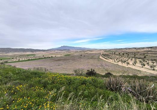 Country house in La Zarza