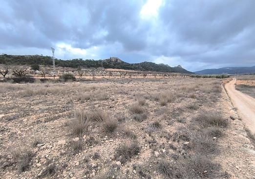 Land in La Solana