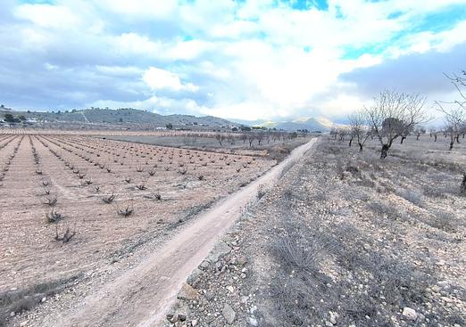 Land in La Solana