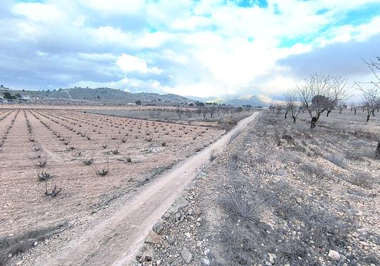Land in La Solana