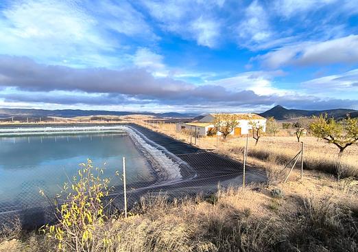 Property in Yecla