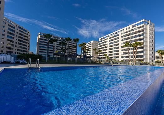 Apartment in Torrevieja