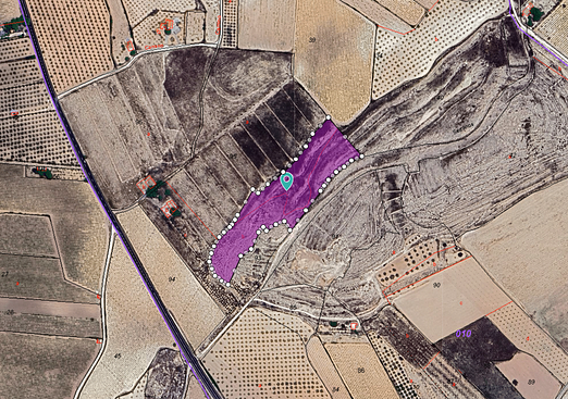 Land in Pinoso