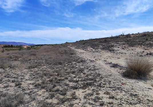 Land in Pinoso