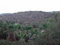 Land in Gandia