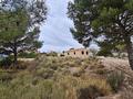 Other in Abanilla
