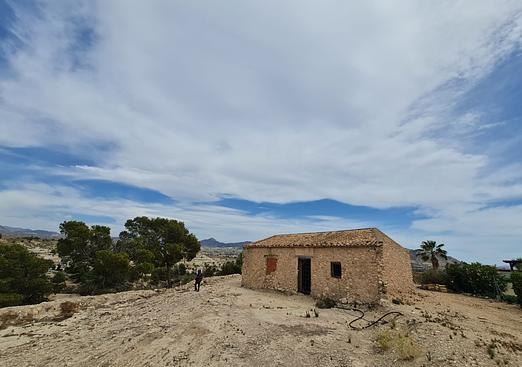 Other in Abanilla