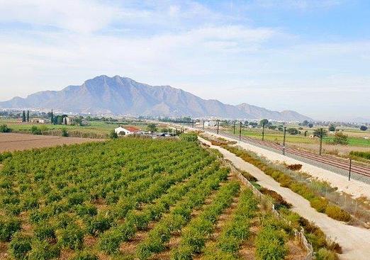 Finca in Callosa de Segura