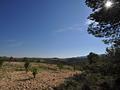 Land in La Zarza