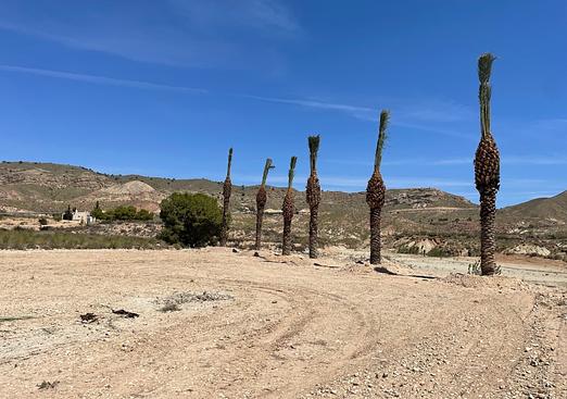 Land in Abanilla
