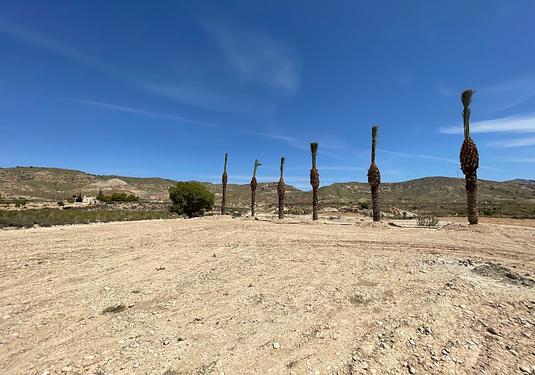 Land in Abanilla