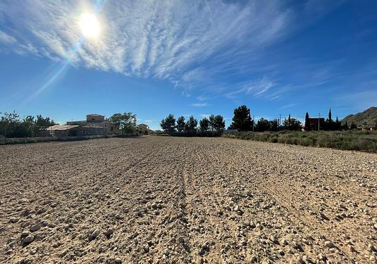 Land in Abanilla