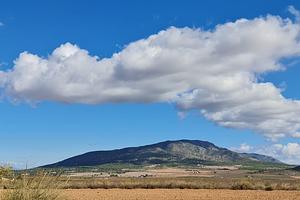 thumb 9