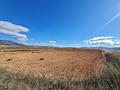 Land in Yecla