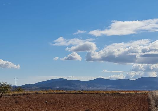 Land in Yecla