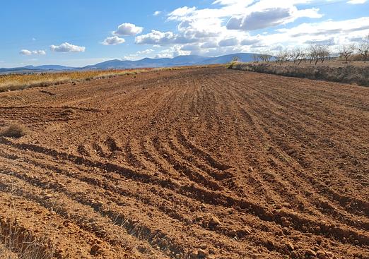 Land in Yecla