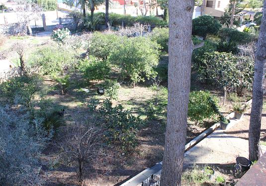 Land in L'Eliana