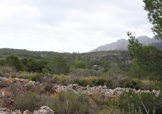 Land in Jalón