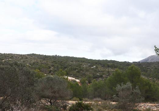 Land in Jalón