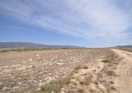 Land in Pinoso