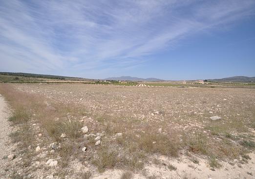 Land in Pinoso