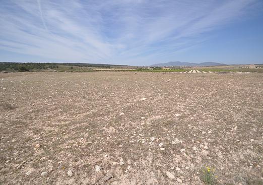 Land in Pinoso