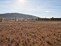 Land in Pinoso