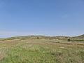 Land in Jumilla