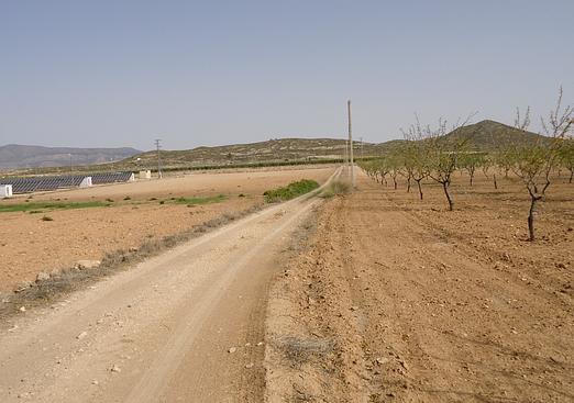 Land in Canada del Trigo
