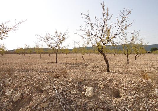 Land in Canada del Trigo