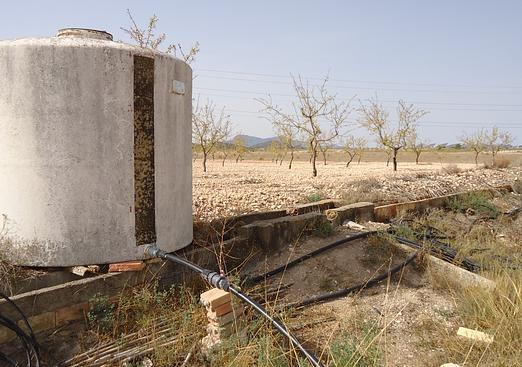 Land in Canada del Trigo