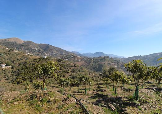 Villa in Competa