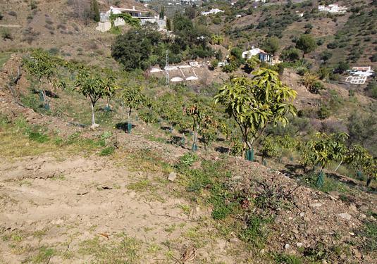 Villa in Competa