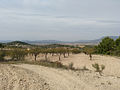 Land in Abanilla
