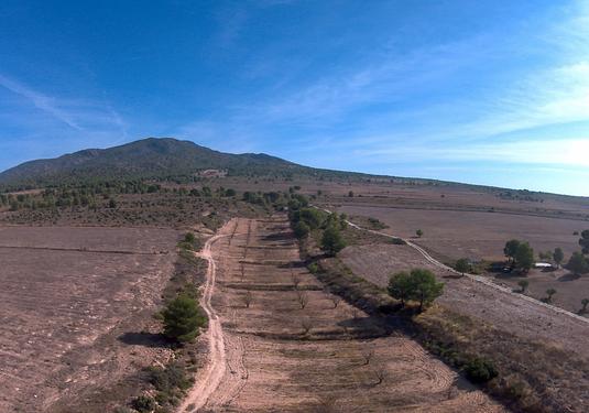 Land in Yecla