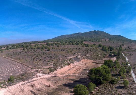 Land in Yecla