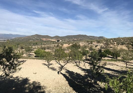 Finca in Lorca