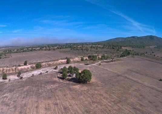 Land in Yecla