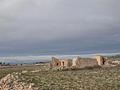 Other in Torre Del Rico