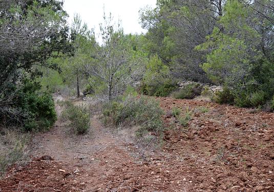 Land in Jalón