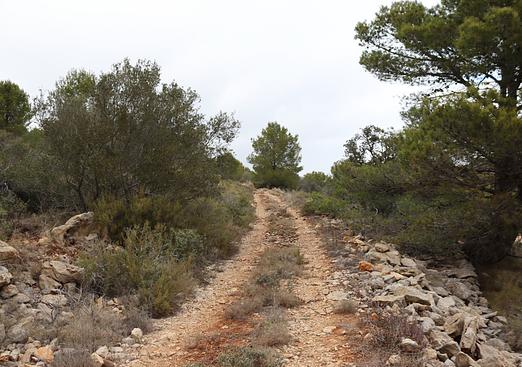 Land in Jalón