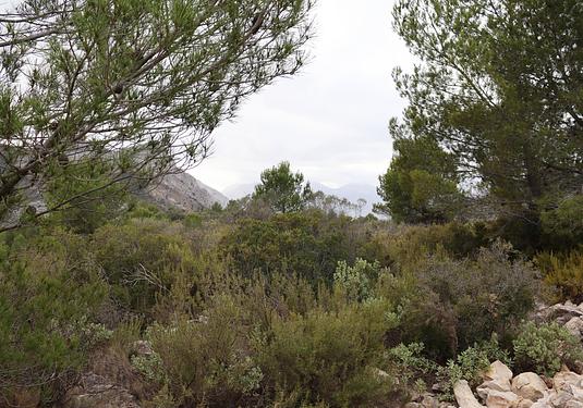 Land in Jalón