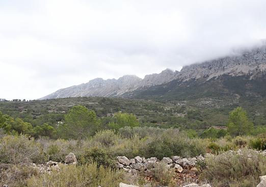 Land in Jalón