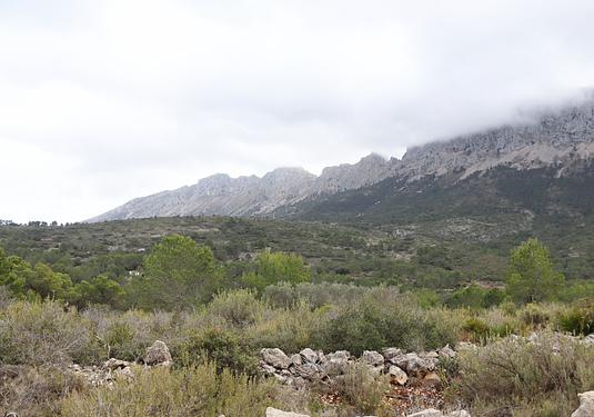 Land in Jalón