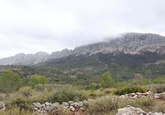 Land in Jalón