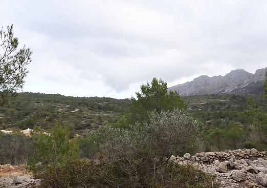 Land in Jalón