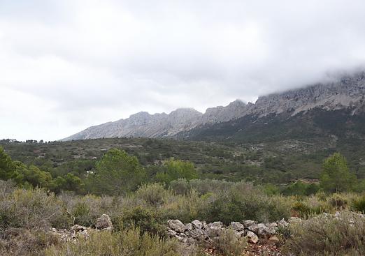 Land in Jalón
