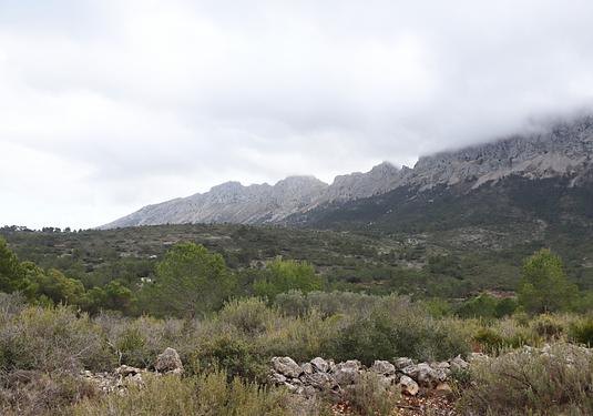 Land in Jalón