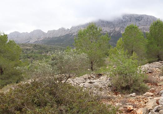 Land in Jalón