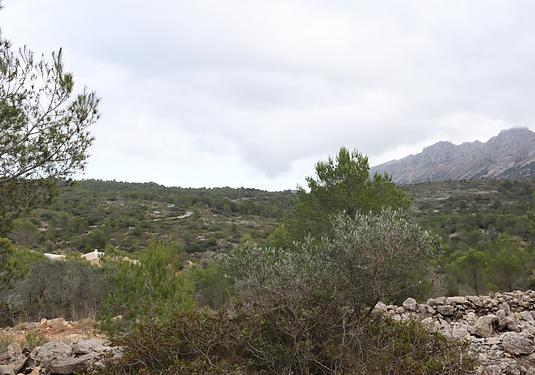 Land in Jalón